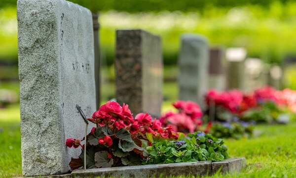 Eine Reihe von Grabsteinen. Rote Blumen schmücken die Gräber.